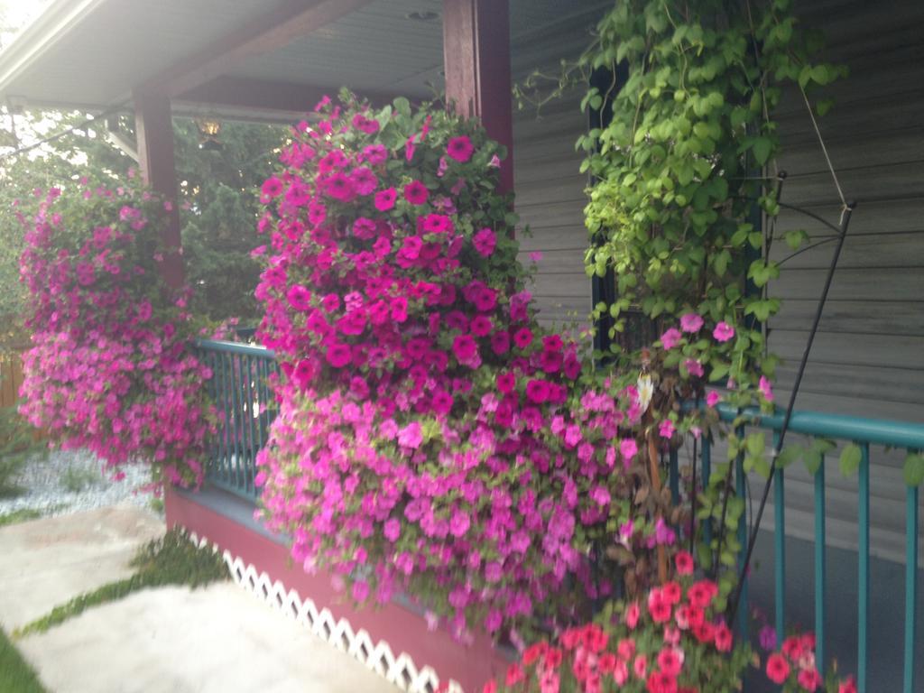 Eagle'S Nest B&B Lake Country Cameră foto